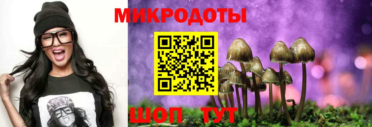 Псилоцибиновые грибы ЛСД Ивантеевка